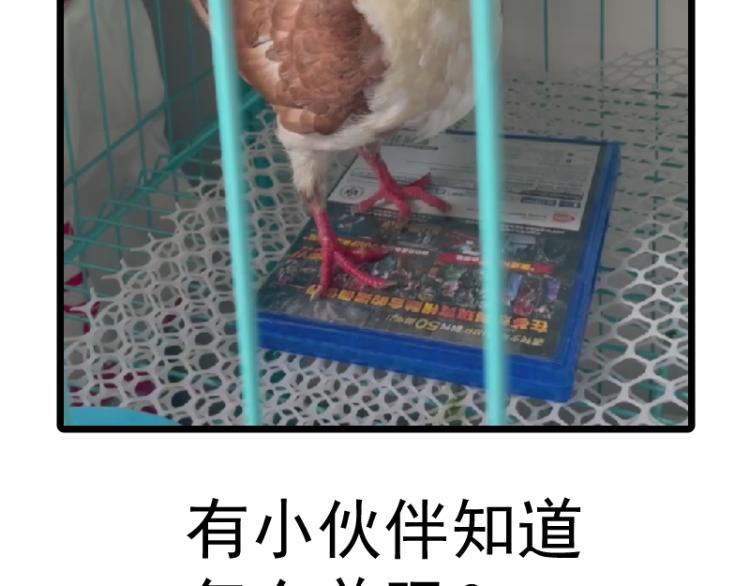 第144话 还我法器！146