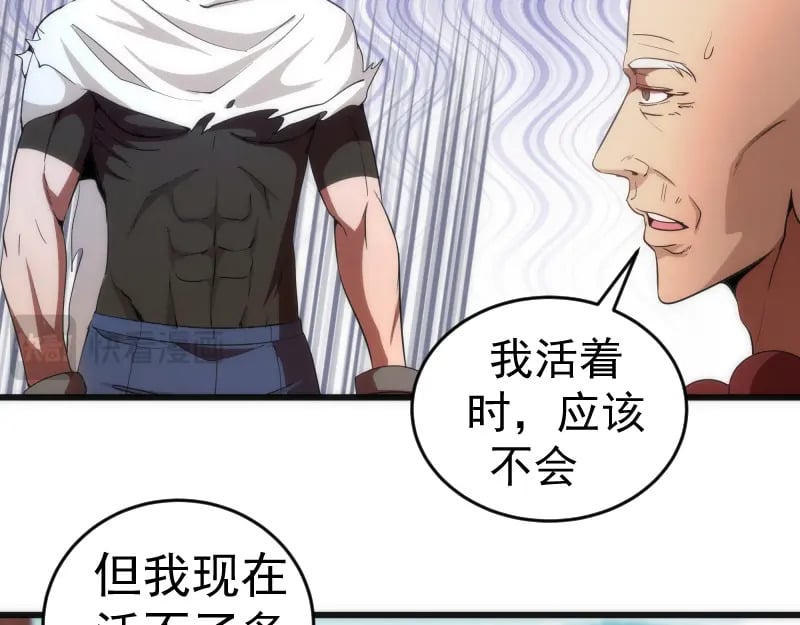 第238话 选举42