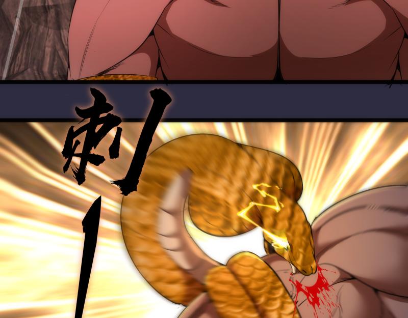 第176话 波球的死斗86