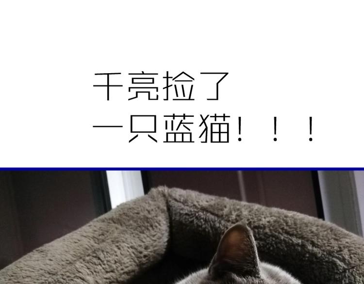 第47话 舒苗的神秘代码！239