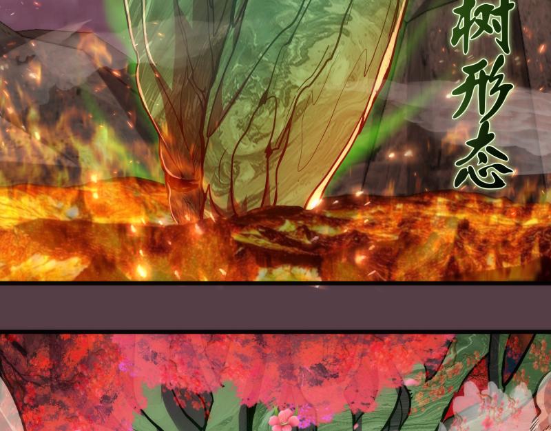 第197话 孙驭干的实力70