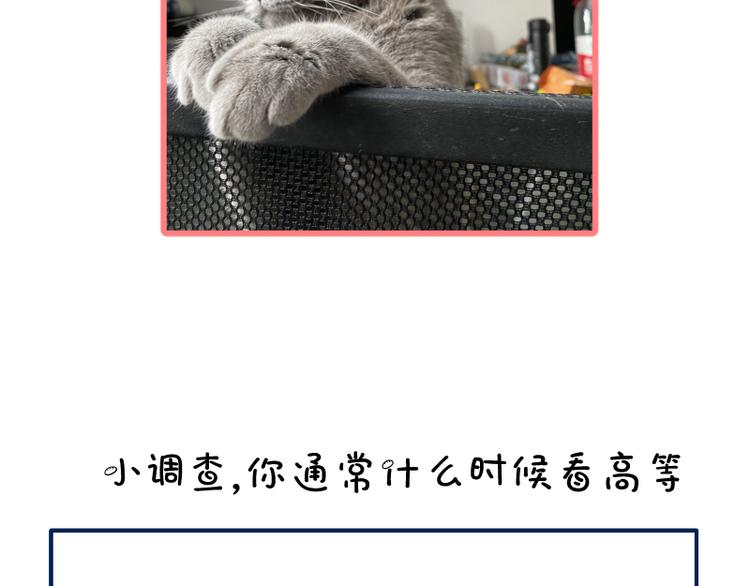 第93话 乔安娜的温柔163