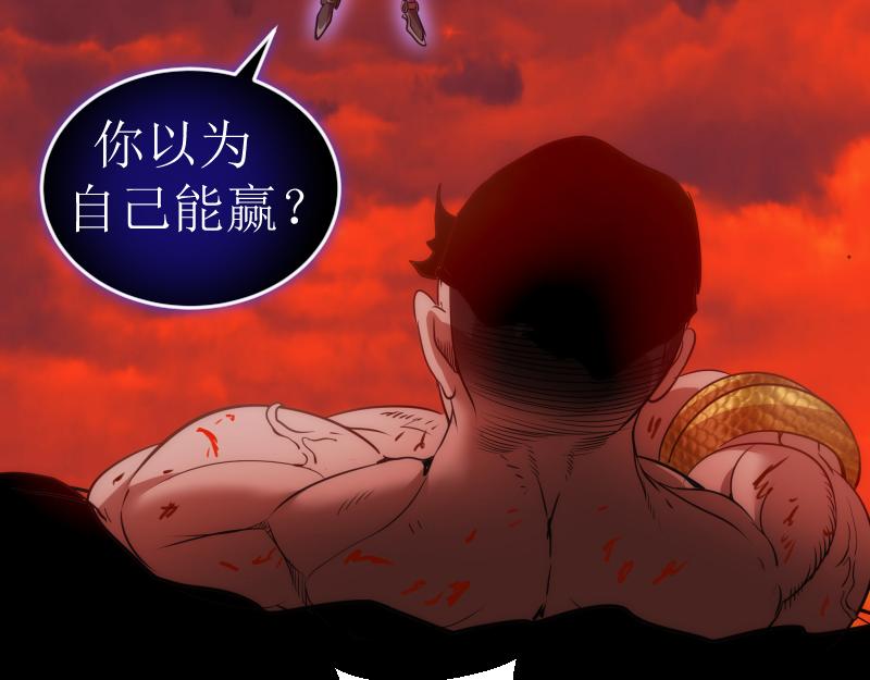 第176话 波球的死斗123