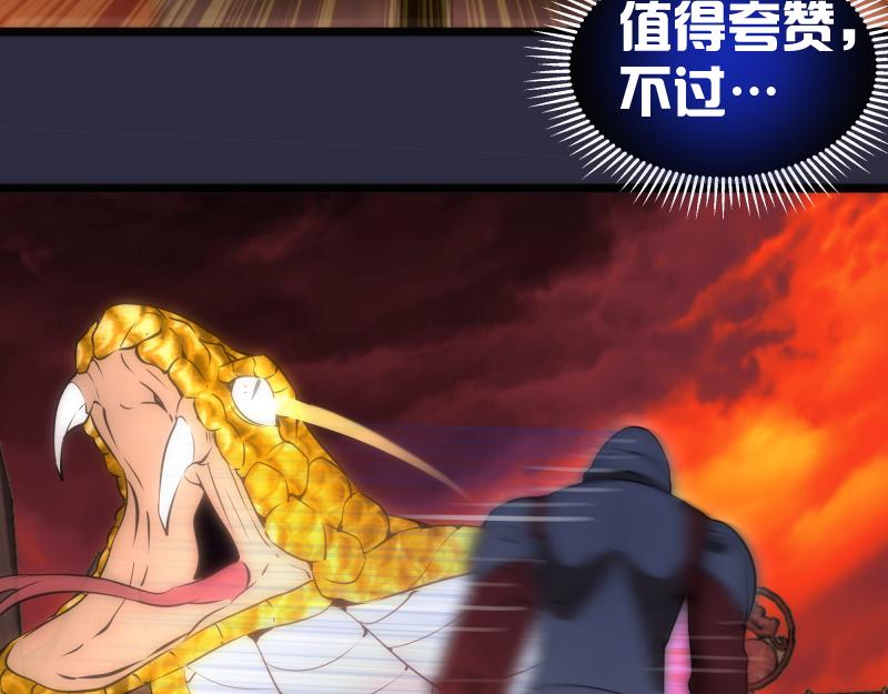 第176话 波球的死斗97