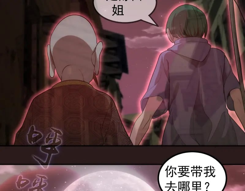 第243话 幻影之翼58