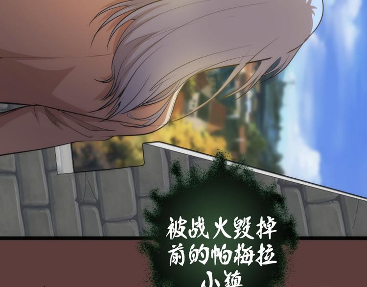 第136话 小镇之战39