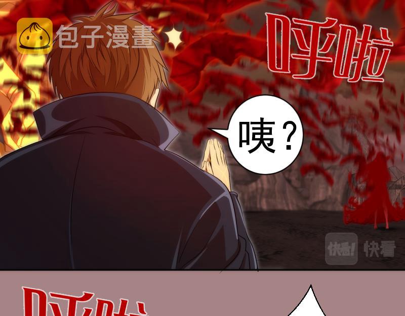 第204话 基德vs米拉黛丝43