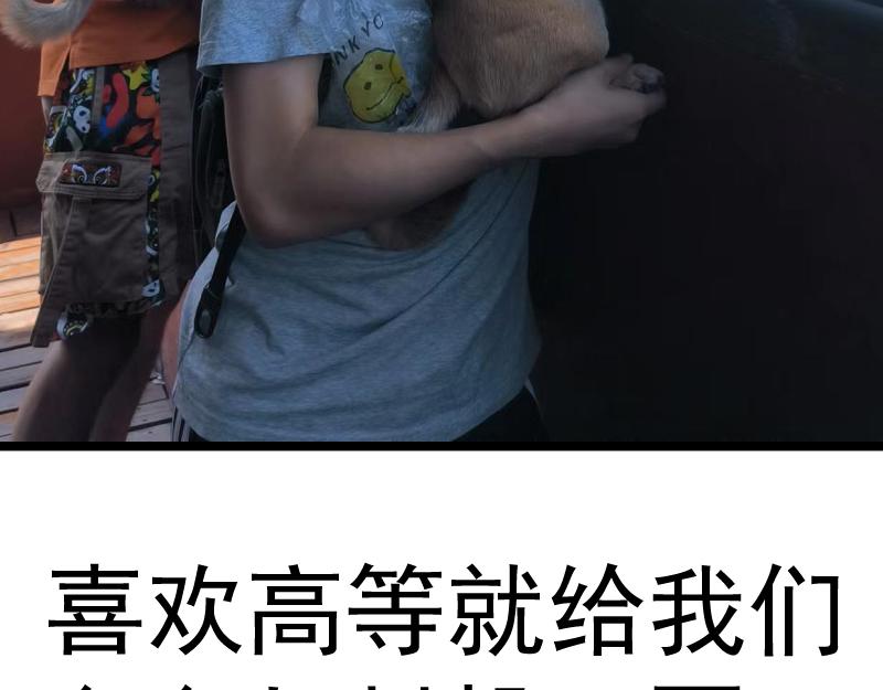 第197话 孙驭干的实力140