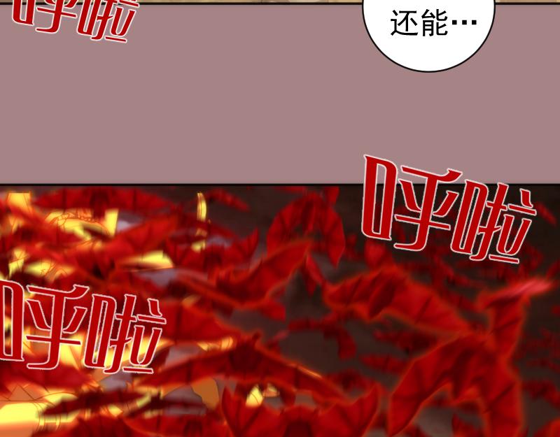第204话 基德vs米拉黛丝42