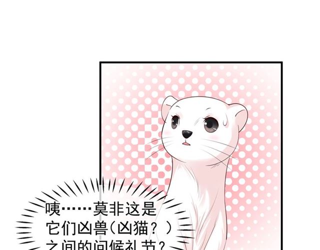 第40话 两只凶兽73