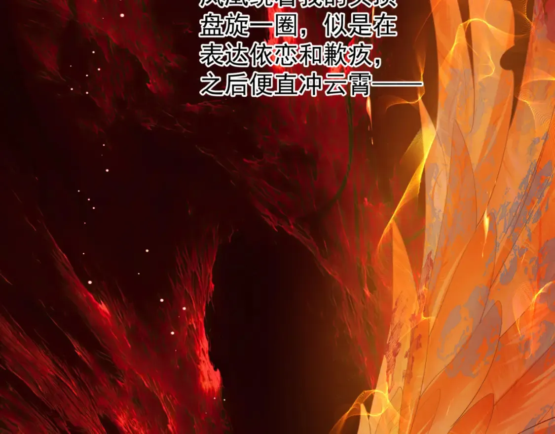 第82话 凤凰涅槃116
