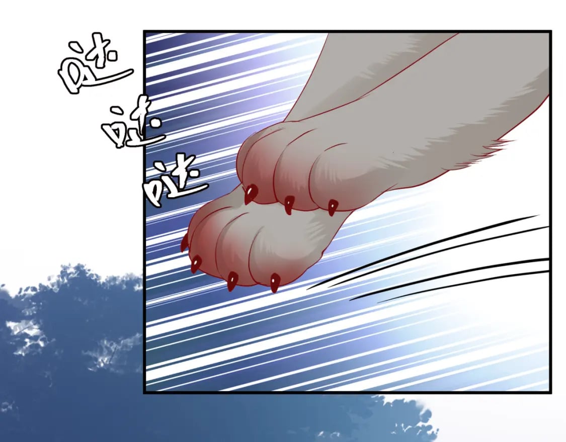 第86话 九尾小狐狸82