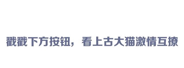 第39话 奇怪的梦136