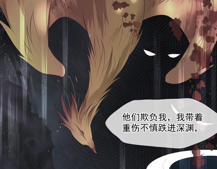 第4话 天降小凤凰72