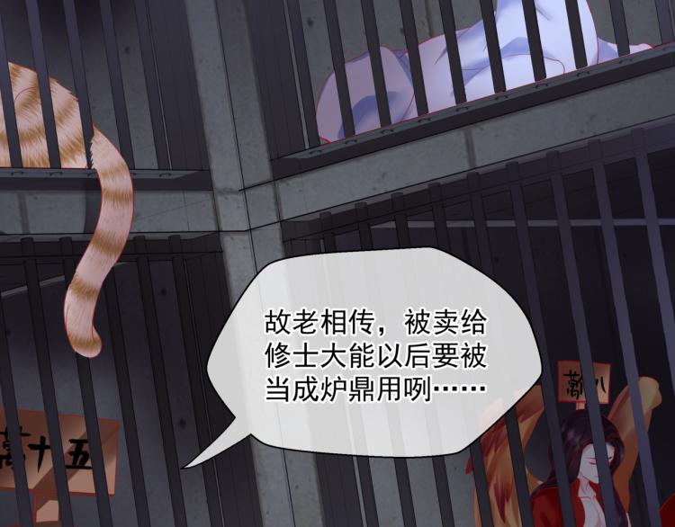 第15话 地下拍卖场26