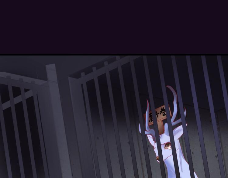 第15话 地下拍卖场25