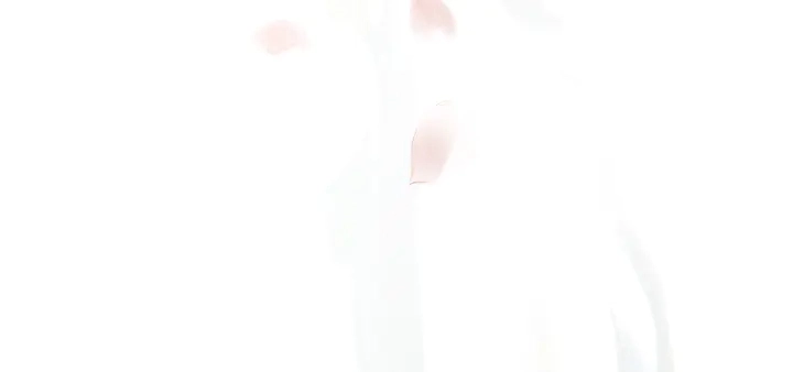 第54话 心悦你146