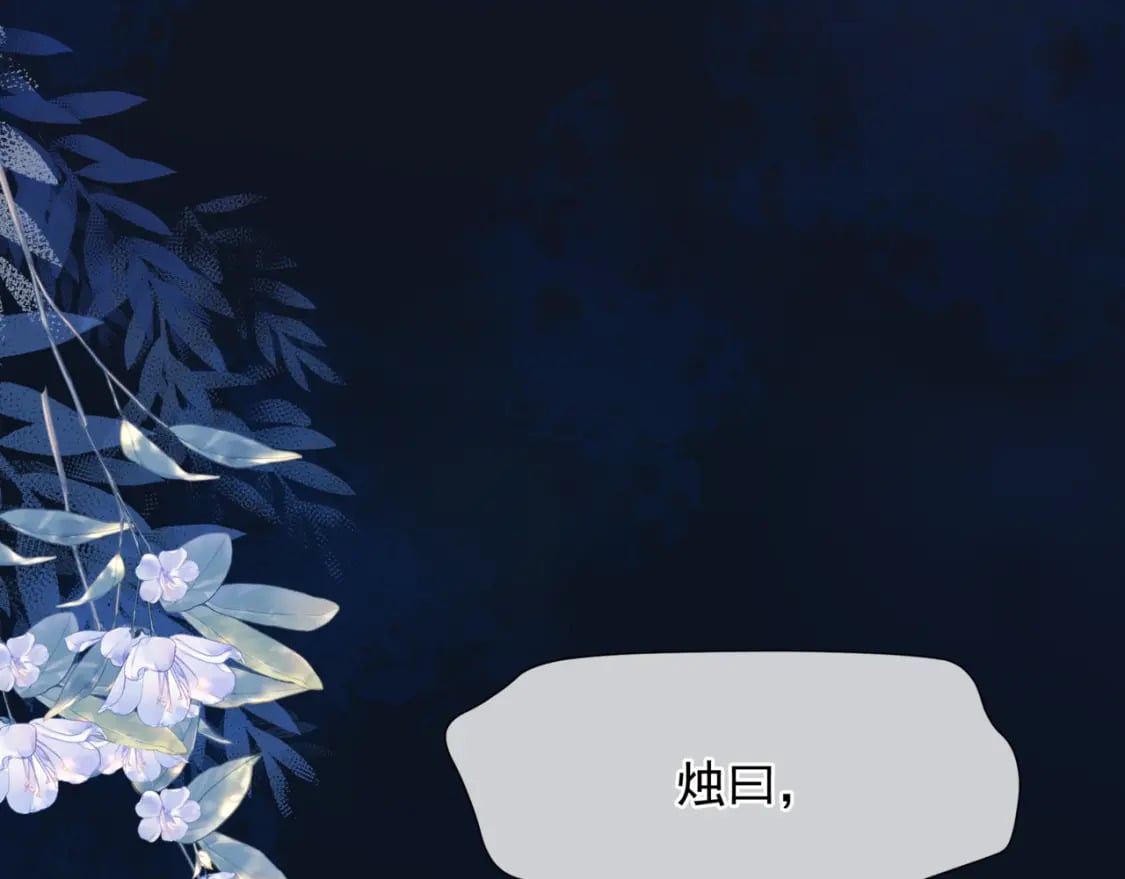 第88话 凤凰降世97