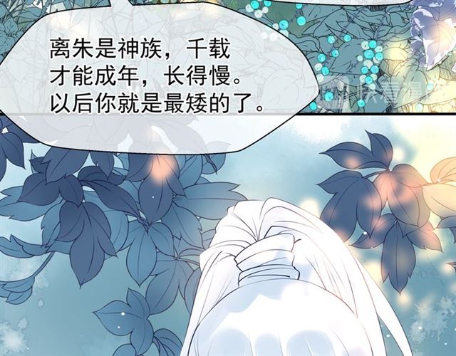 第42话 初拾记忆66