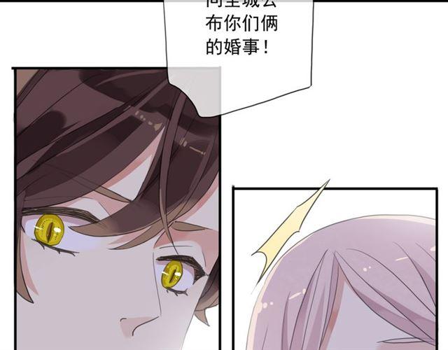 守护篇 第15话 欢迎回来！2