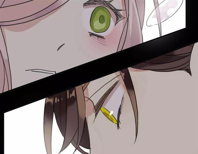 第47话 决定！2