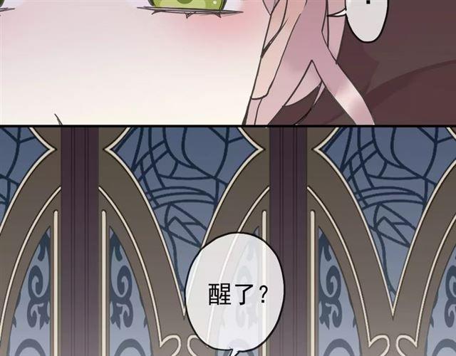 第29话 新的危机？！12