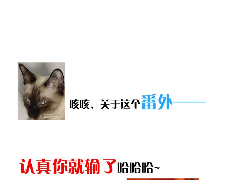 誓约篇 番外篇 战场上的狗粮48