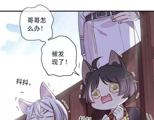守护篇 第37话 两只小可爱20