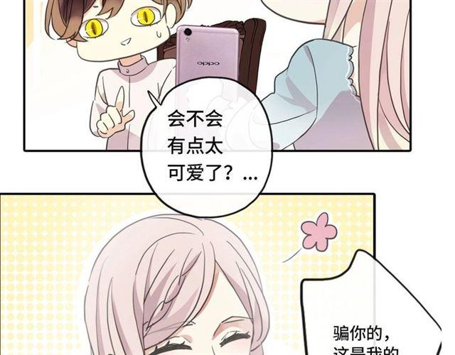 定制手机字体和主题上线啦7