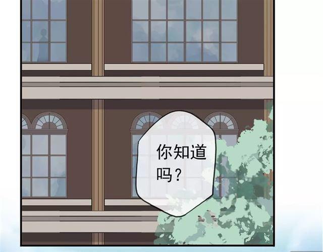 第38话 令人心碎的消息…20