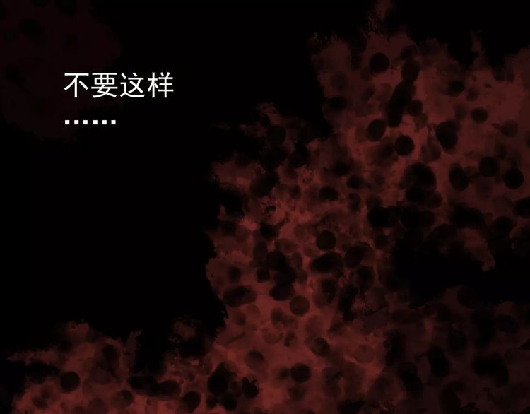 第24话 别怕，有我在40