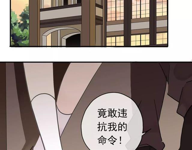 第33话 我是你的什么？41