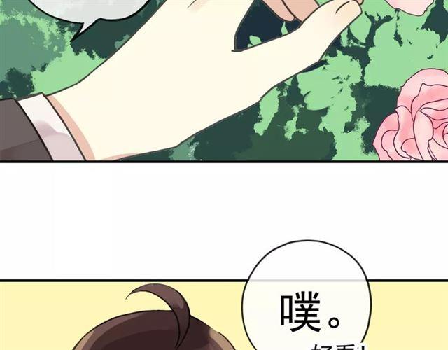 第62话 选择7