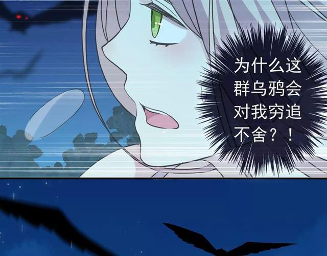 第5话 沉沦的协奏曲14