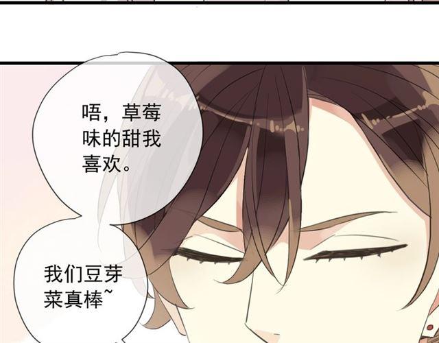 次元旋风系列 第六弹47