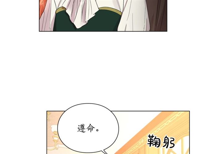 第42话 贵妇茶话会37