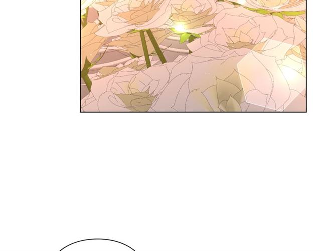 第44话 花的含义51