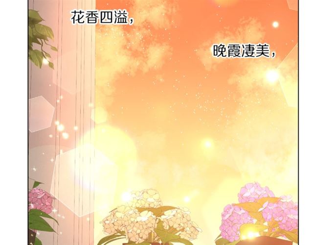第44话 花的含义7