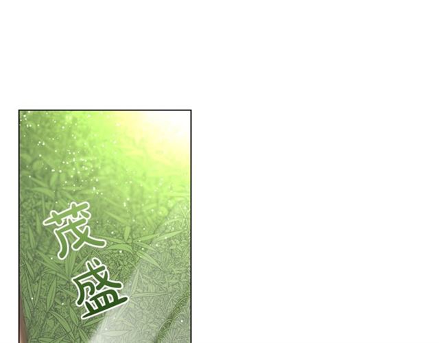 第34话 再试一次吧132
