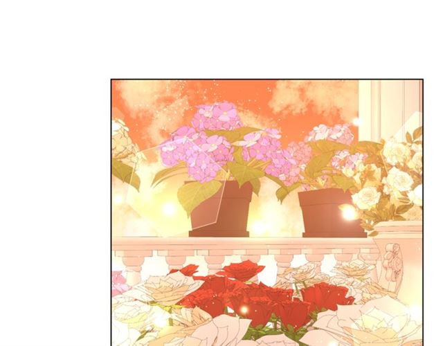 第44话 花的含义50