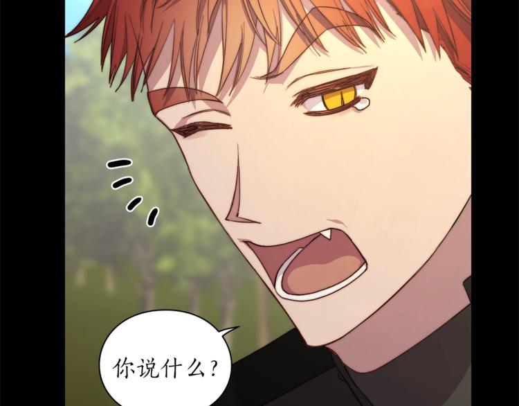 第76话 关于送矿山的事17