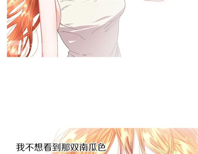 第42话 贵妇茶话会19