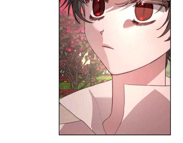 第75话 鸡同鸭讲的对话67