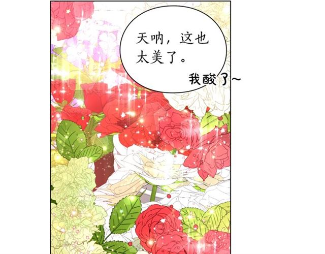 第42话 贵妇茶话会110