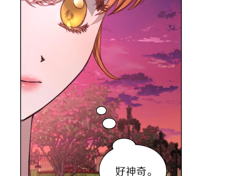 第75话 鸡同鸭讲的对话40