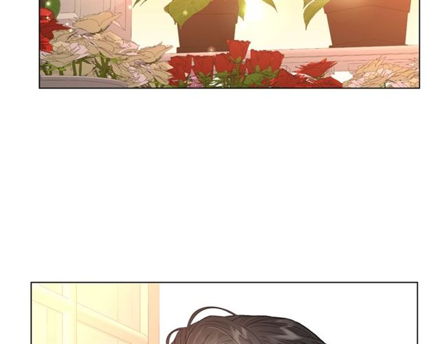 第44话 花的含义8