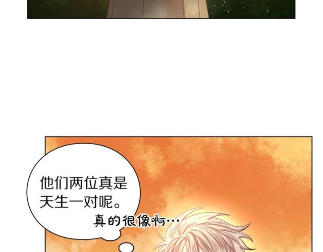 第41话 高贵的血脉？58