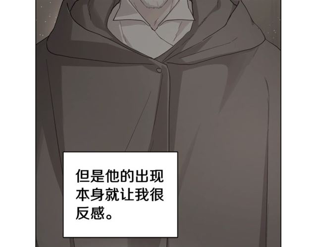 第42话 贵妇茶话会11