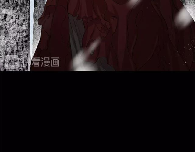 第25话 唯一的血脉？！20