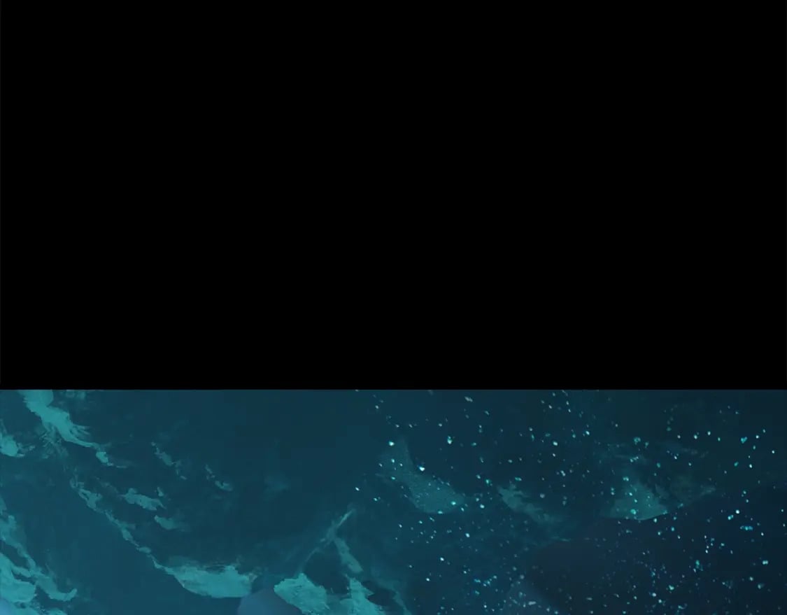 第176话 和平之蛋19